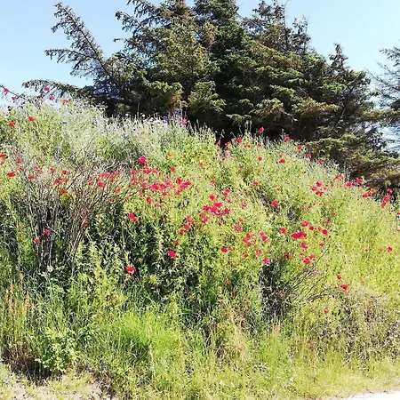 Vakantiehuis 4 Star In *